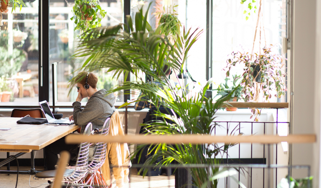 Benefits of Coworking For Freelancers