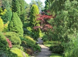 things to do in manchester